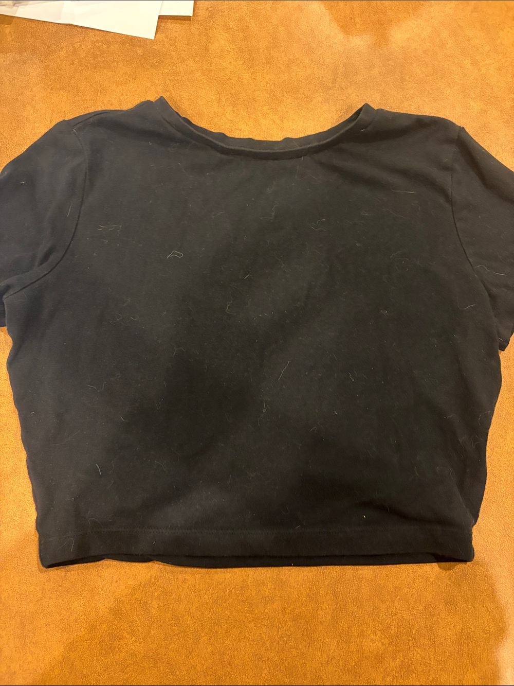 wild fable Black Short Sleeve Crop Top
